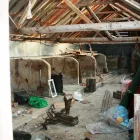 Business 7 image JACKSON-STOPS & STAFF Estate Agents in Exeter De