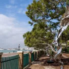 Business 2 image JANET RADY FINE ART LTD Visual Arts in London Gr