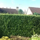 Business 64 image JB CLEARANCES & LANDSCAPING Shopping & Retail in Blandford Forum Do