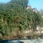 Business 70 image JB CLEARANCES & LANDSCAPING Shopping & Retail in Blandford Forum Do