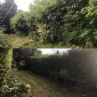 Business 5 image JB GARDENS Tree Services in Halifax We