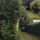 Business 8 image JB GARDENS Tree Services in Halifax We