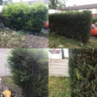 Business 12 image JB GARDENS Tree Services in Halifax We