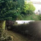 Business 14 image JB GARDENS Tree Services in Halifax We
