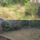 Business 21 image JB GARDENS Tree Services in Halifax We