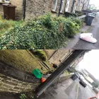 Business 22 image JB GARDENS Tree Services in Halifax We