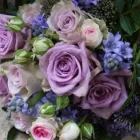 Business 1 image JEMINI FLOWERS OXFORD Shopping & Retail in Oxford Ox