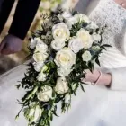 Business 2 image JEMINI FLOWERS OXFORD Shopping & Retail in Oxford Ox