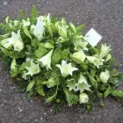 Business 15 image JEWELLERS Jewellers in Kilmarnock Ay