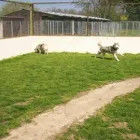 Business 1 image JO JENNINGS TYPOGRAPHIA LTD Advertising & Graphic Designers in Maidstone Ke