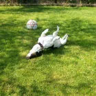 Business 2 image JO JENNINGS TYPOGRAPHIA LTD Advertising & Graphic Designers in Maidstone Ke