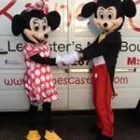 Business 9 image KAINES CASTLES Toys & Games in Birstall Le