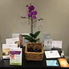 Business 16 image KAIZEN HEALTH & BEAUTY Spa Services in Solihull We