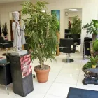 Business 7 image KAMYKO HAIR Hairdressers in Wellington So