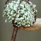 Business 2 image KARBONKOPY Printers & Lithographers in Southport Me