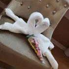 Business 1 image KIDS KUTZ Hairdressers in Aberdeen Ab