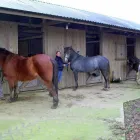 Business 7 image KILMAURS CONVENIENCE STORE & POST OFFICE Grocers & Convenience Stores in Kilmarnock Ay