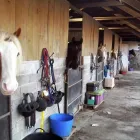 Business 8 image KILMAURS CONVENIENCE STORE & POST OFFICE Grocers & Convenience Stores in Kilmarnock Ay