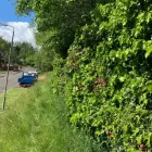 Business 34 image KLR TREE SURGEONS Woodworking in Irvine Ay