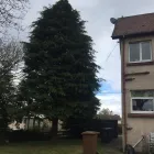 Business 53 image KLR TREE SURGEONS Woodworking in Irvine Ay