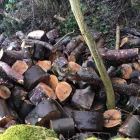 Business 71 image KLR TREE SURGEONS Woodworking in Irvine Ay