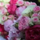 Business 2 image LA LUNA FLORAL DESIGN Wholesale Trade in Oakley Ha