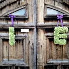 Business 6 image LA LUNA FLORAL DESIGN Wholesale Trade in Oakley Ha