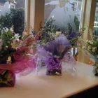 Business 6 image LAKE STAR MEDIA LTD Advertising Agencies in Manchester La