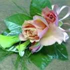 Business 1 image LAKE STAR MEDIA LTD Advertising Agencies in Manchester La