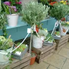 Business 3 image LAKE STAR MEDIA LTD Advertising Agencies in Manchester La