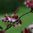 Business 11 image LASZLO PHOTOGRAPHY & FILM Wedding Services in Halesowen We