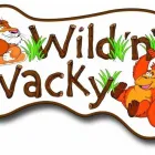 Business 6 image LEESE Stove & Oven Repairs & Parts in Stoke-On-Trent St