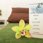 Business 1 image LESLEY TAYLOR Reflexology in Bristol Av