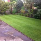 Business 1 image LEVEL LAWNS Turf Suppliers in Rayleigh Es