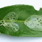 Business 2 image LILI DESIGN LTD Jewellers in Kingston Upon Thames Su