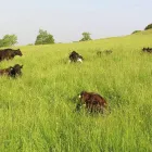 Business 3 image LILLEY'S PHARMACY & HEALTHCARE Pharmacies in Stockport Ch