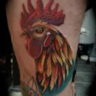 Business 12 image LIMITED EDITION TATTOO STUDIO Tattooists in Doncaster So