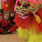 Business 15 image LLOYDS PHARMACY Pharmacies in Addlestone Su