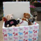 Business 1 image LLOYDS PHARMACY Pharmacies in Glasgow La