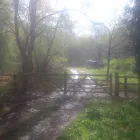 Business 6 image LOTUS ORTHODONTICS Orthodontists in Altrincham Ch