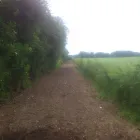 Business 1 image LOTUS ORTHODONTICS Orthodontists in Altrincham Ch