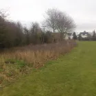 Business 7 image LOTUS ORTHODONTICS Orthodontists in Altrincham Ch