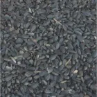 Business 2 image LOUIS TAYLOR FINE ART AUCTIONEERS & VALUERS Auctioneers & Valuers in Stoke-On-Trent St