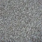 Business 14 image LOUIS TAYLOR FINE ART AUCTIONEERS & VALUERS Auctioneers & Valuers in Stoke-On-Trent St