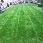 Business 15 image LOUWS LANDSCAPING Turf Suppliers in Luton Be