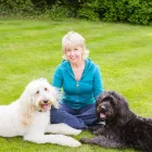 Business 2 image LOVE YOUR DOG TRAINING Pets & Animals in Melton Mowbray Le