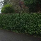 Business 5 image LTB LANDSCAPING Turf Suppliers in Gloucester Gl