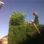 Business 11 image LTB LANDSCAPING Turf Suppliers in Gloucester Gl