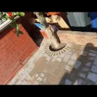 Business 40 image M B PAVING & LANDSCAPE Paving & Driveway Contractors in Greenford Mi