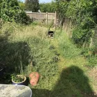 Business 16 image M&M LANDSCAPES Tree Services in Bracknell Be